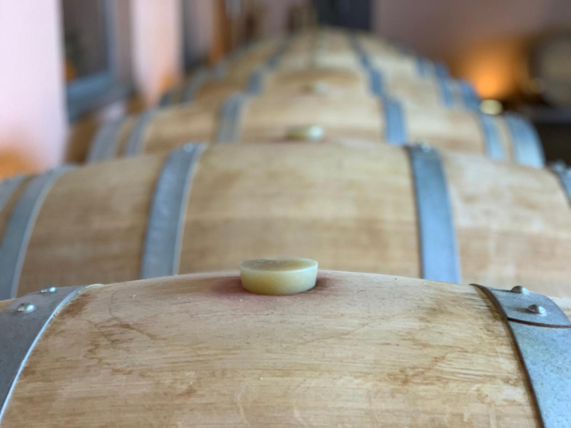 Berneuil Domaine Chez Les Rois住宿加早餐旅馆 外观 照片